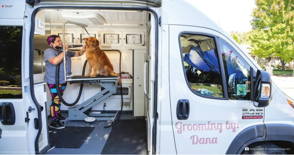 A professional pet groomer gently trimming a small dog's fur with scissors in a mobile grooming van, highlighting expert care and attention.