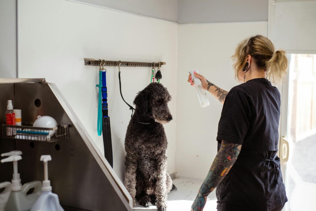 Professional groomer providing attentive care to a dog during grooming
