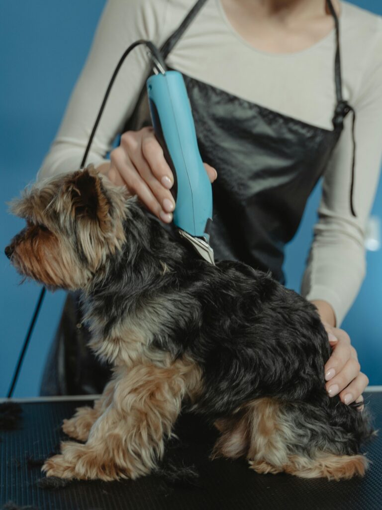 ontent dog enjoying a grooming session inside a mobile pet grooming van